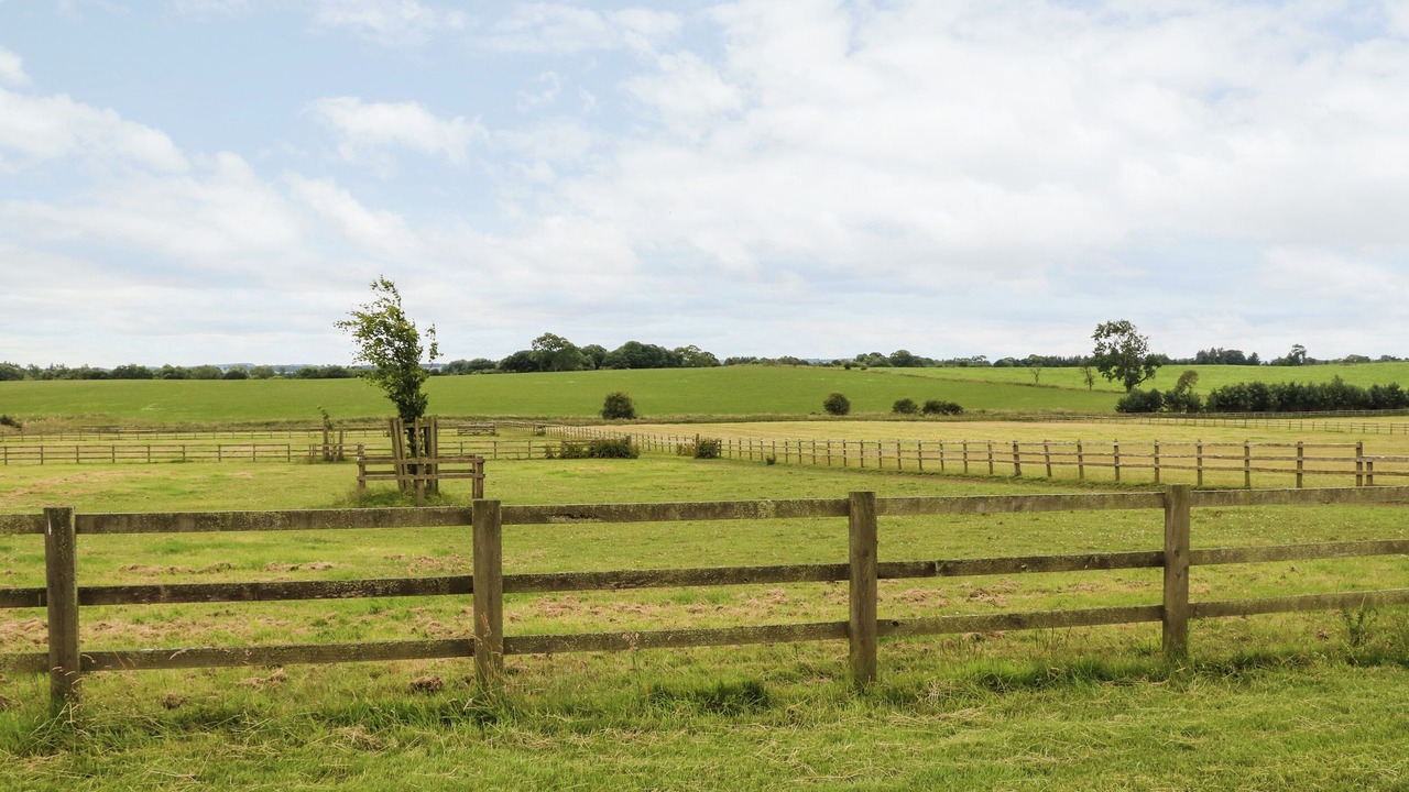 Photo of Others in Morpeth