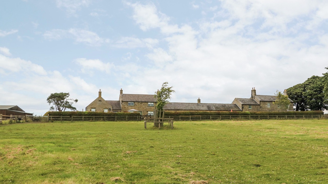 Photo of Others in Morpeth