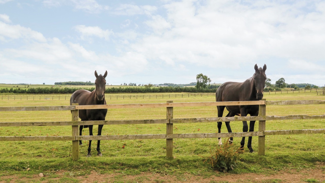 Photo of Others in Morpeth