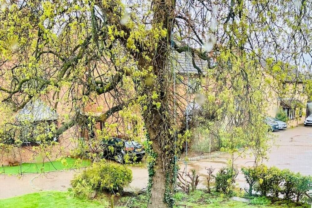 Photo of Outdoor in Walton-on-Thames