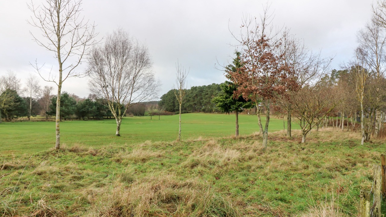 Photo of Others in Jedburgh