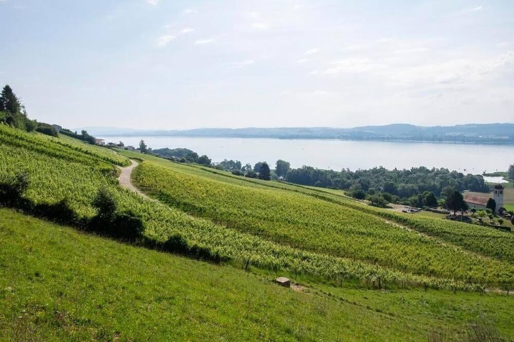 Photo of Outdoor in Bellerive