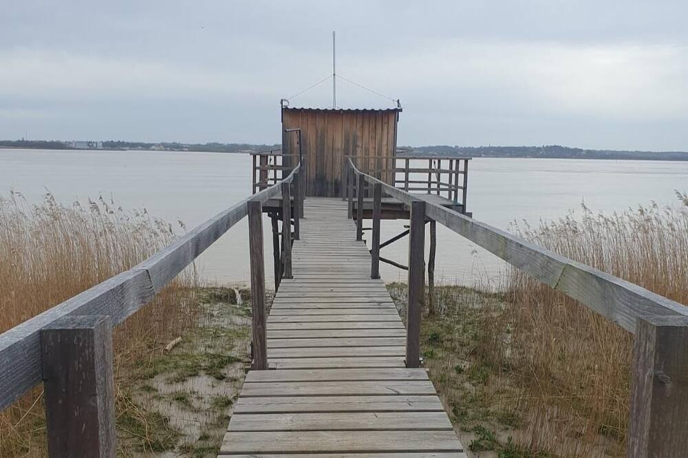 Photo of Outdoor in Lamarque