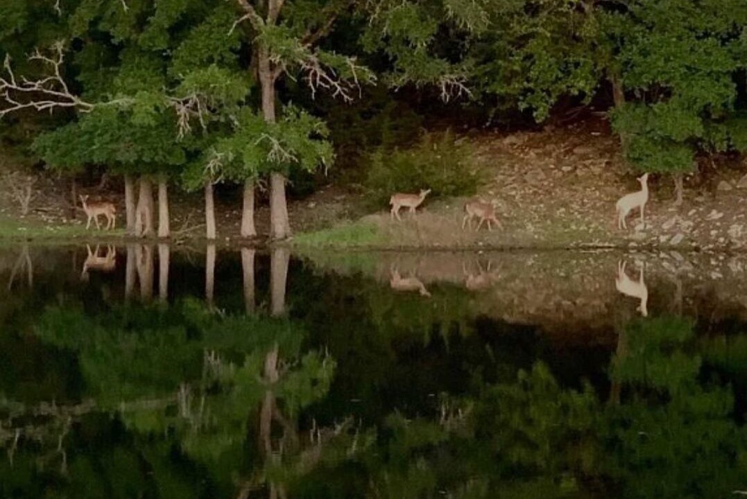 Photo of Outdoor in Gatesville