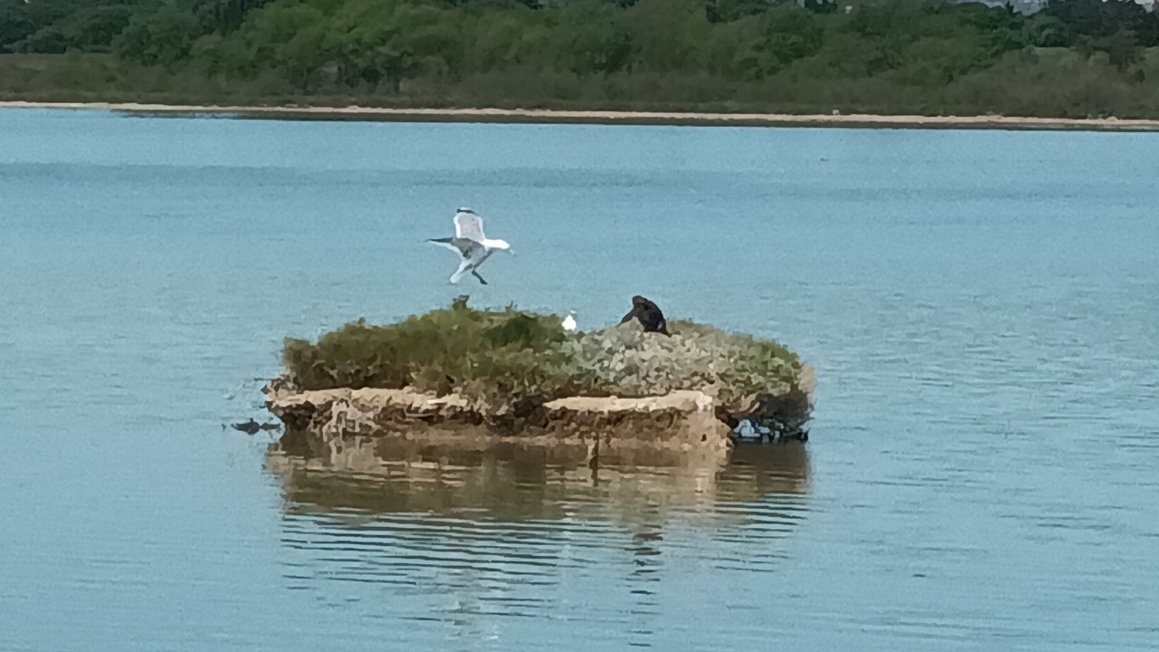 Photo of Outdoor in Villeneuve-les-Maguelone