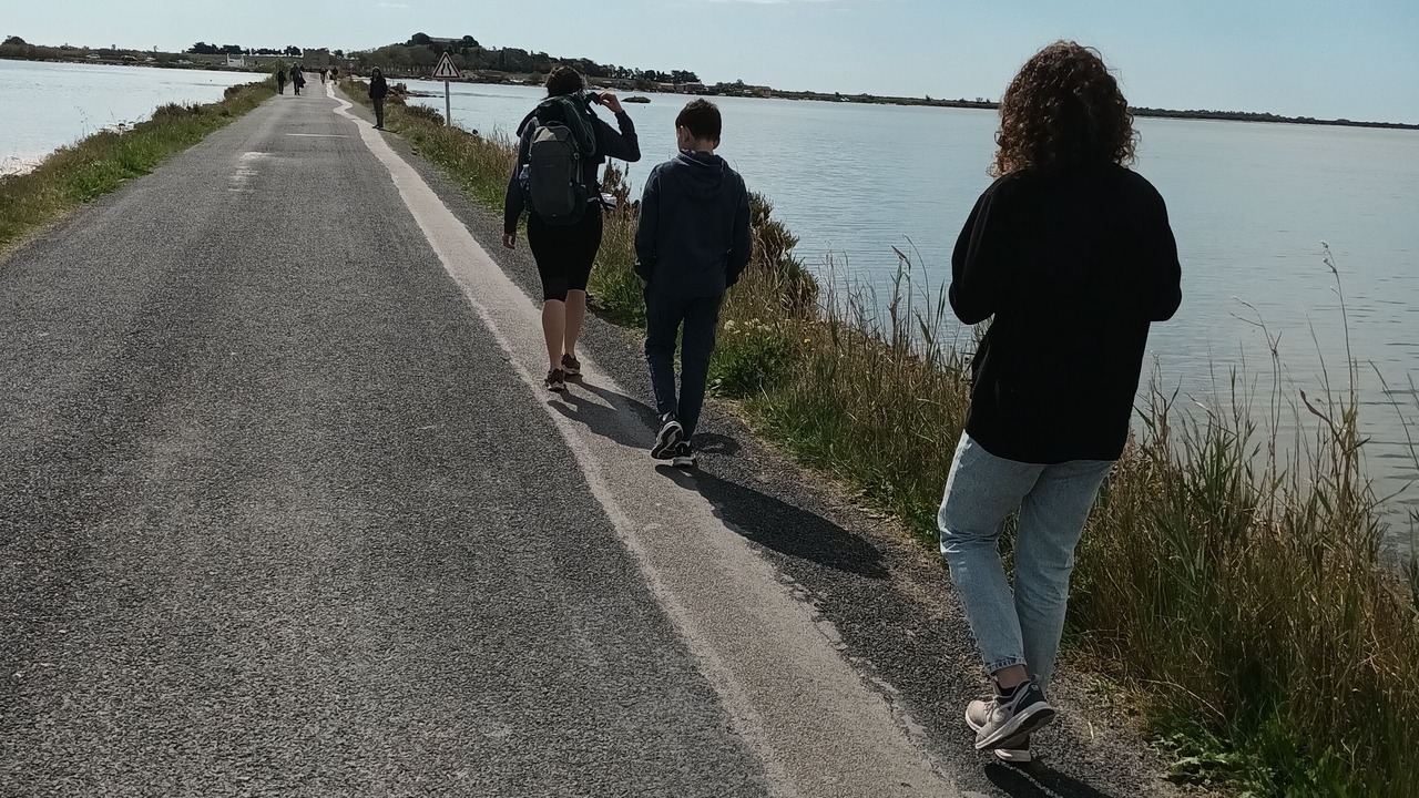 Photo of Others in Villeneuve-les-Maguelone