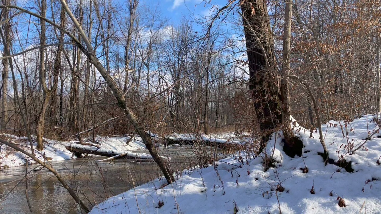 Photo of Outdoor in Selkirk