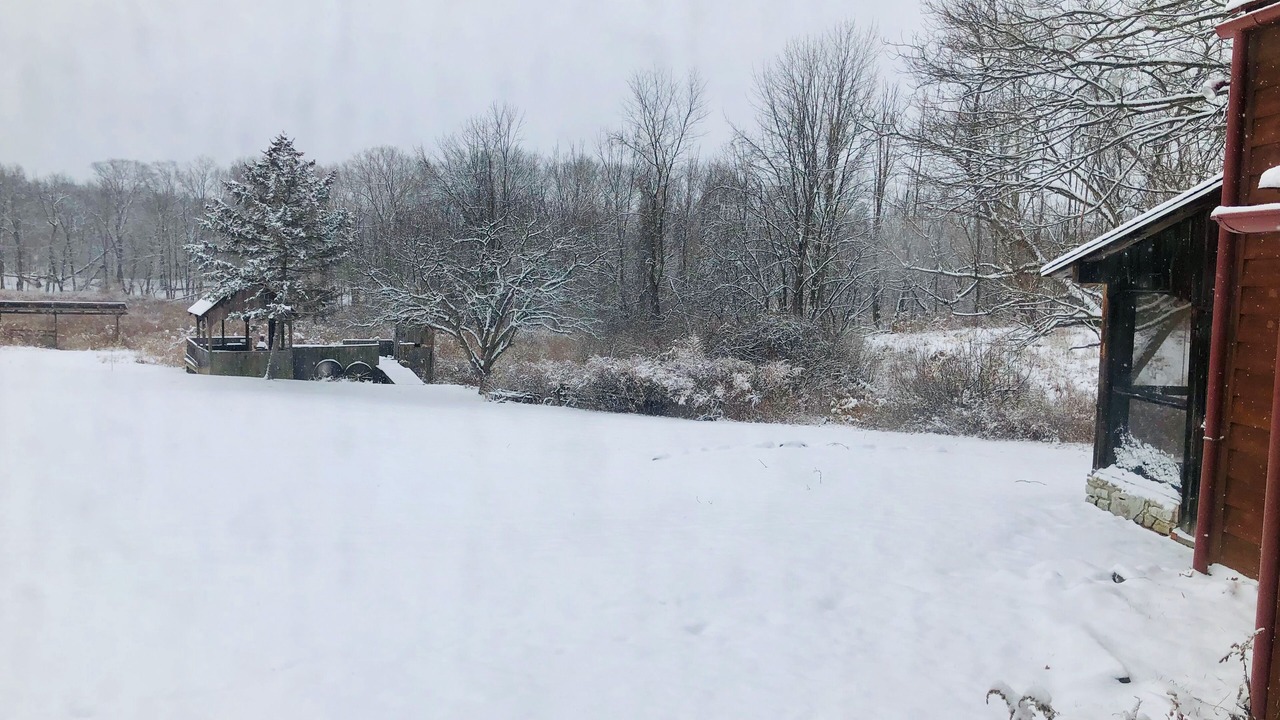 Photo of Outdoor in Selkirk