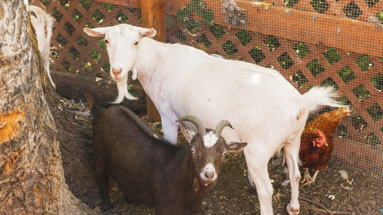 Photo of Outdoor in Cle Elum