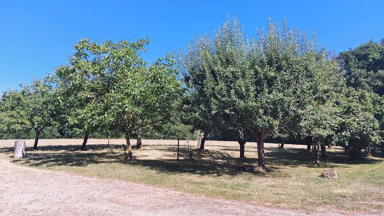 Photo of Outdoor in Moncaut