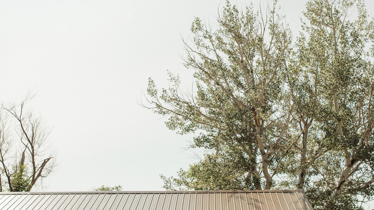 Photo of Outdoor in Owanka
