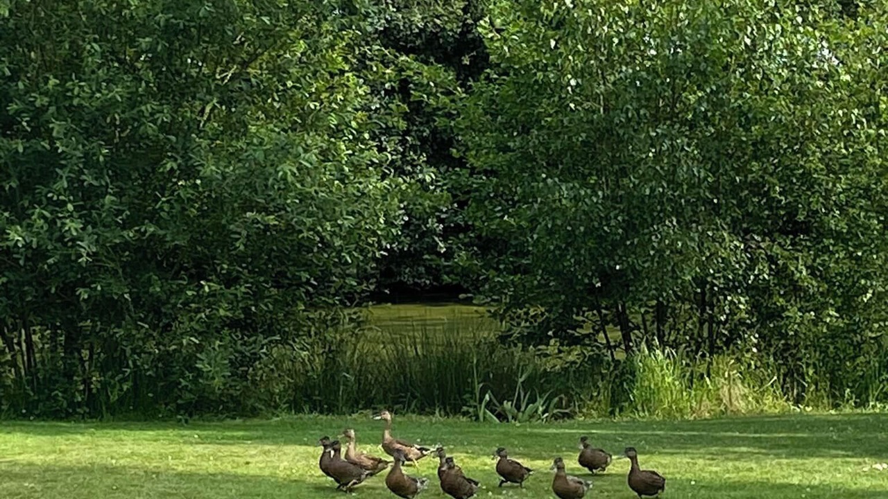 Photo of Others in Yebleron