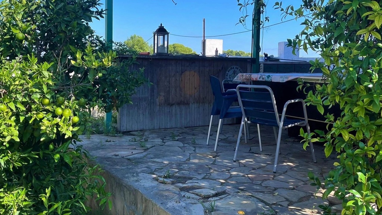 Photo of Outdoor in Albinyana