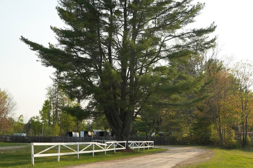 Photo of Outdoor in Algonquin Highlands