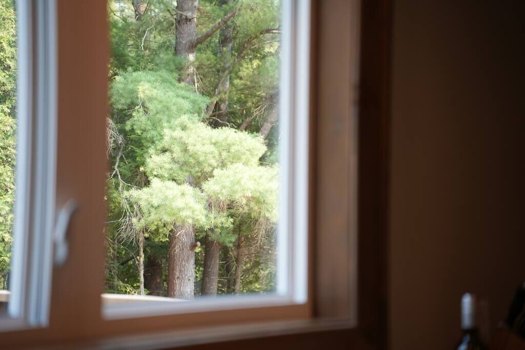 Photo of Others in Algonquin Highlands