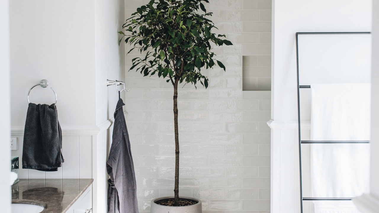 Photo of Bathroom in Brooklet