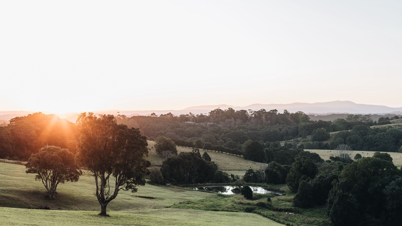 Photo of Others in Brooklet