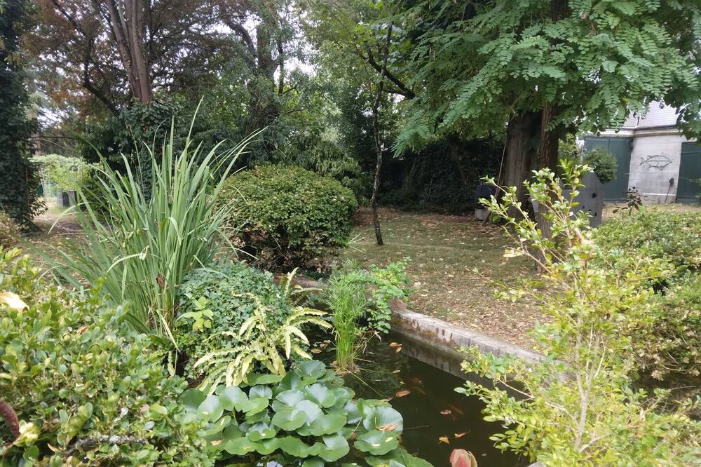 Photo of Outdoor in Saint-Avertin