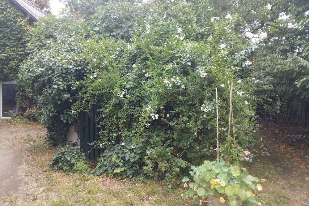 Photo of Outdoor in Saint-Avertin