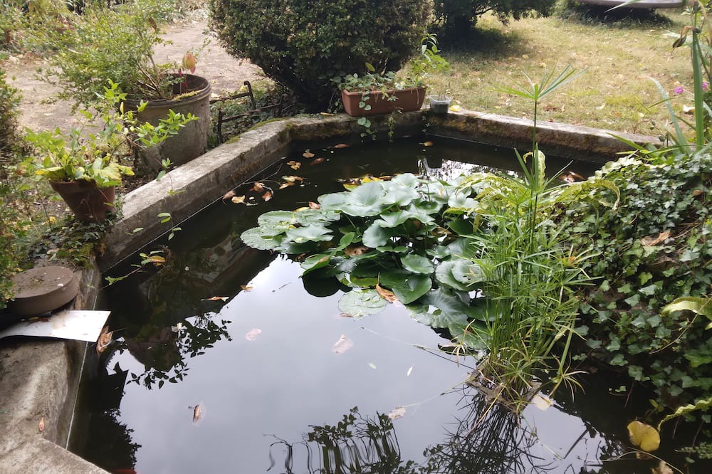 Photo of Outdoor in Saint-Avertin