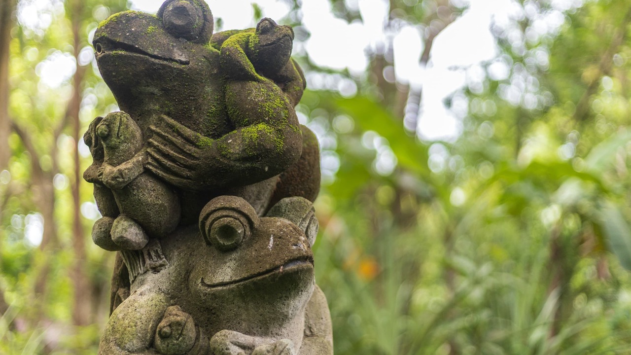 Photo of Outdoor in Manado