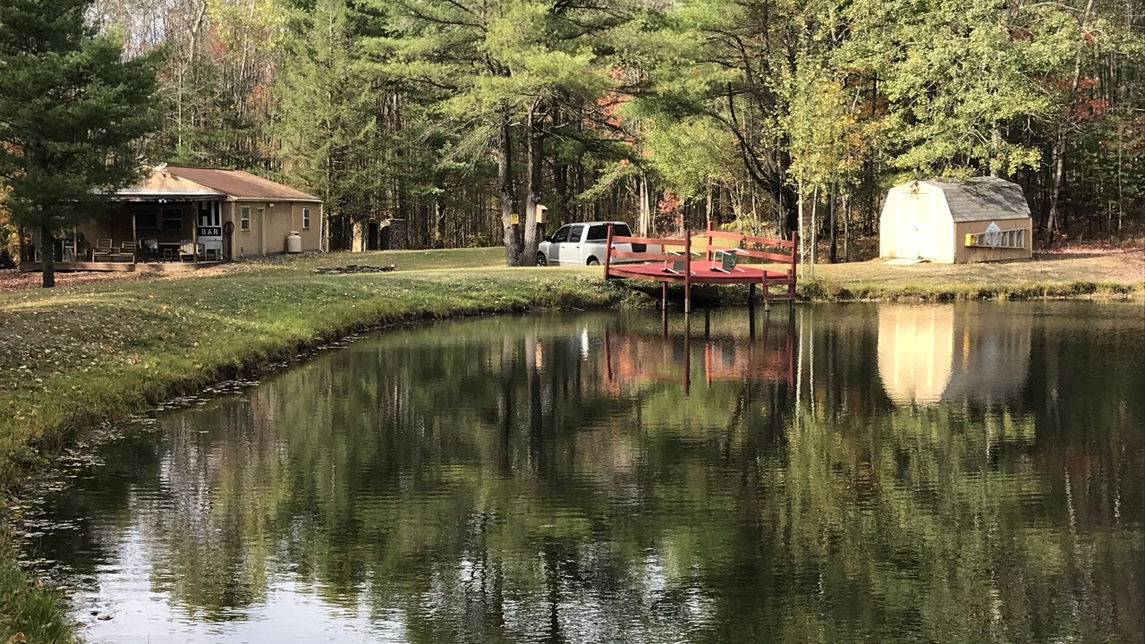 Photo of Others in Beaver Dams