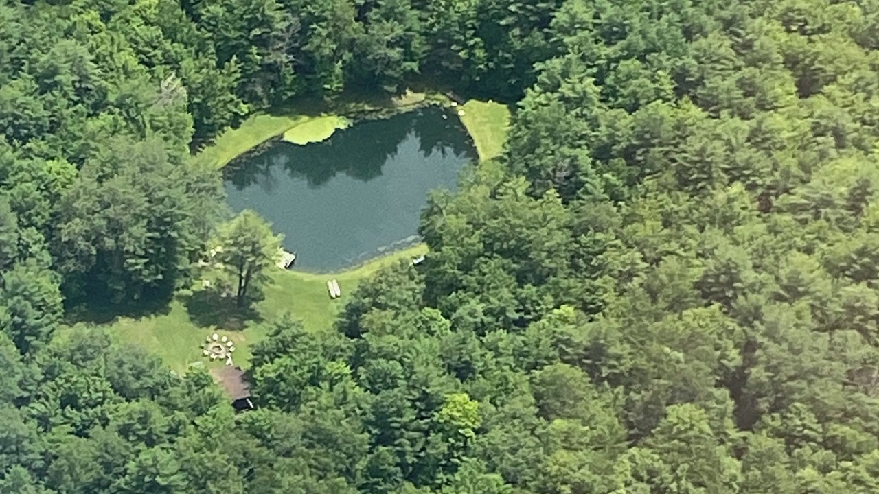 Photo of Others in Beaver Dams