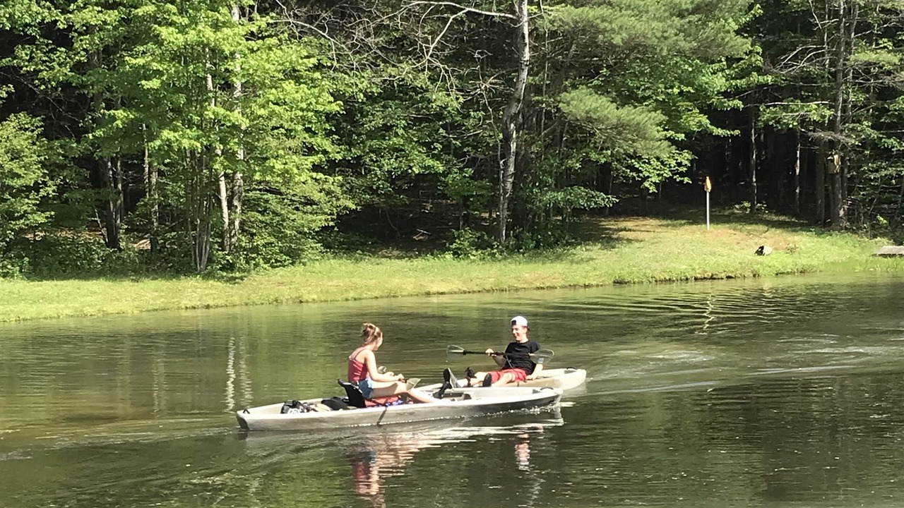 Photo of Others in Beaver Dams