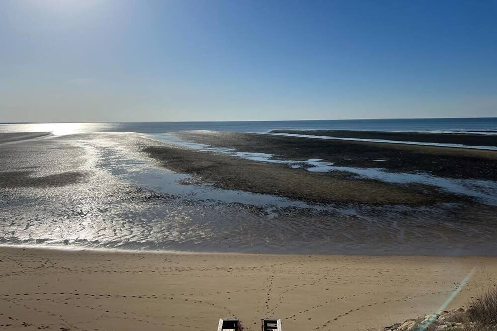 Photo of Others in North Eastham
