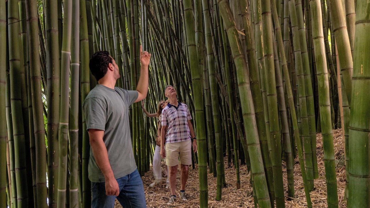 Photo of Outdoor in Hamurana