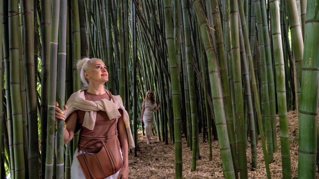 Photo of Outdoor in Hamurana