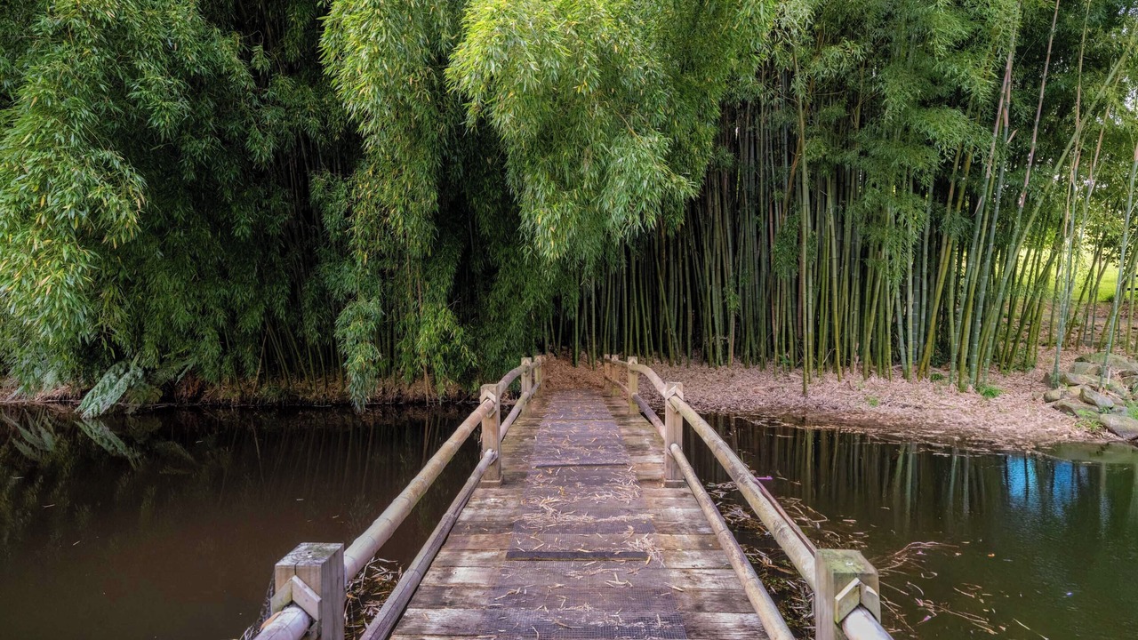 Photo of Outdoor in Hamurana