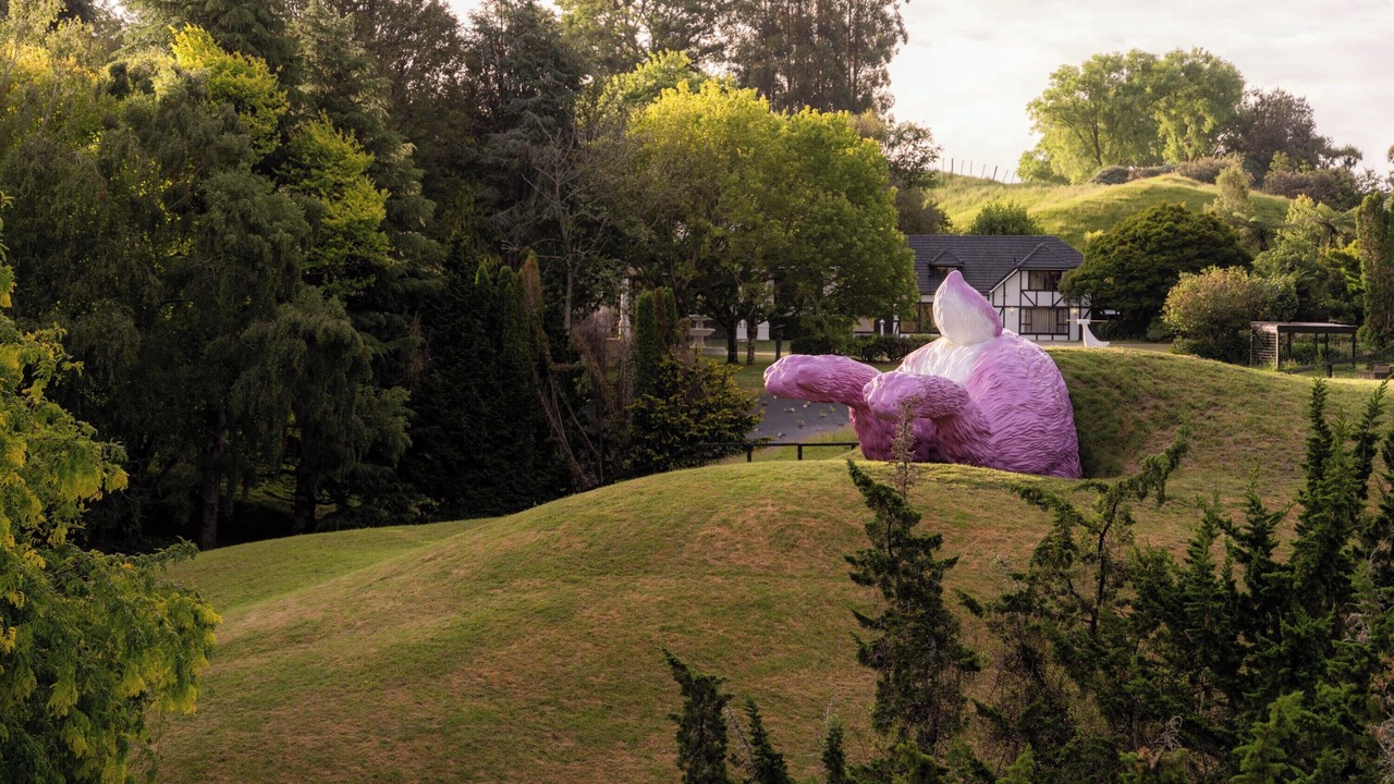 Photo of Outdoor in Hamurana