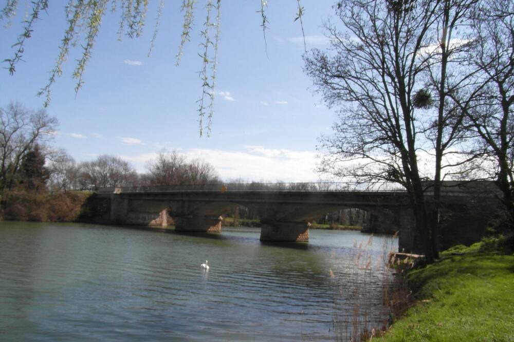 Photo of Others in Cuisery