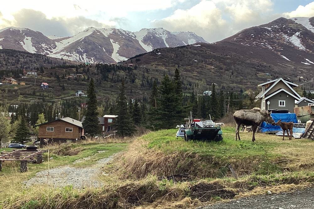 Photo of Outdoor in Bear Valley