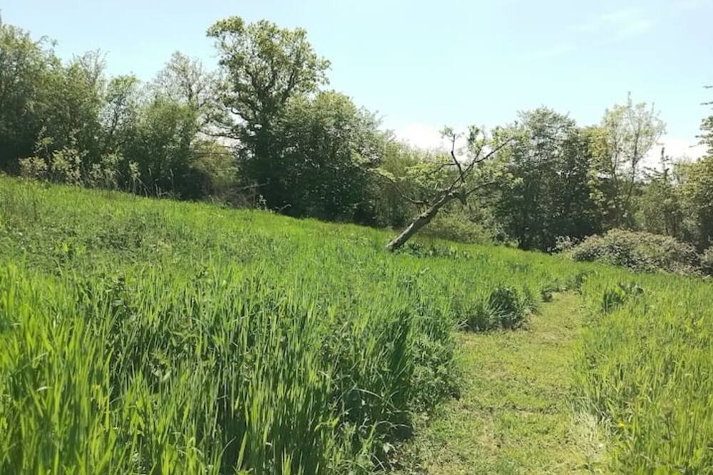 Photo of Outdoor in Longfosse