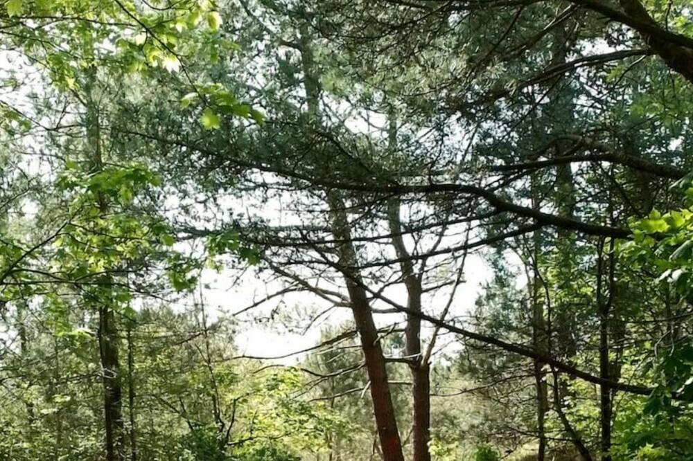 Photo of Outdoor in Longfosse