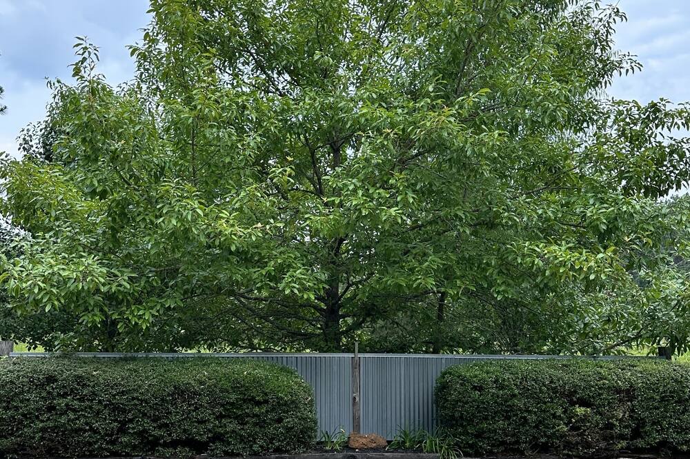 Photo of Outdoor in Lufkin