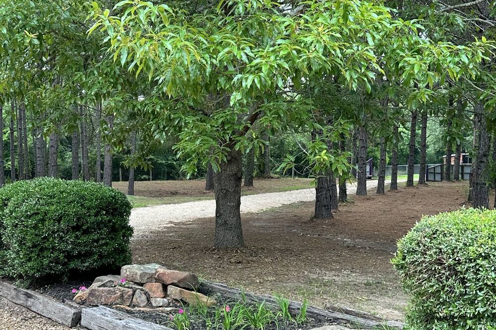 Photo of Outdoor in Lufkin
