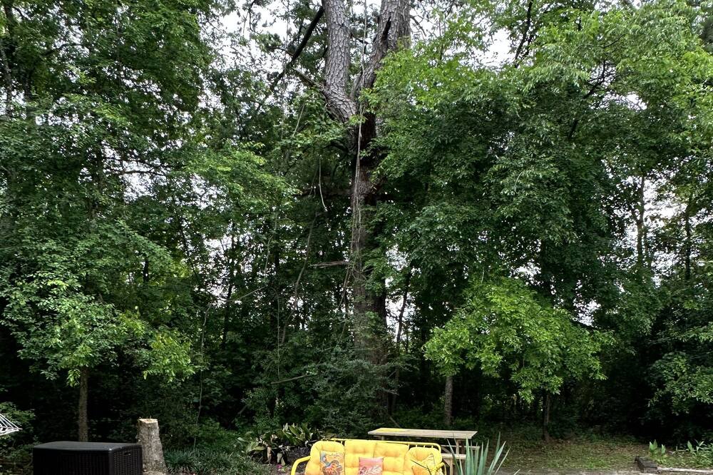 Photo of Outdoor in Lufkin