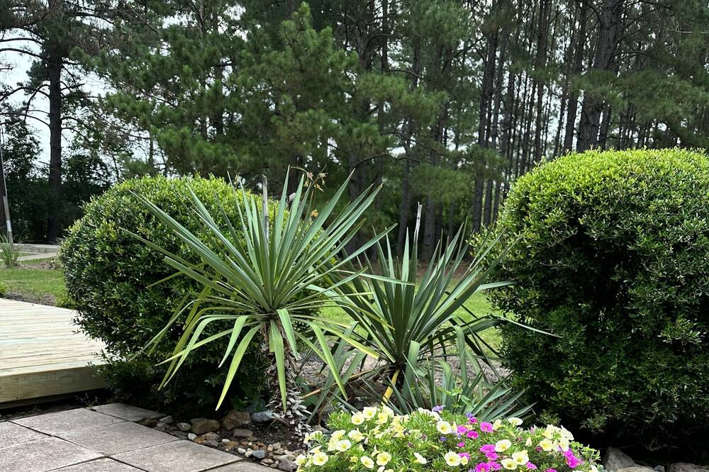 Photo of Outdoor in Lufkin