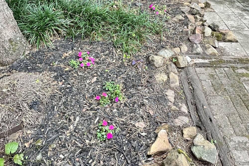 Photo of Outdoor in Lufkin