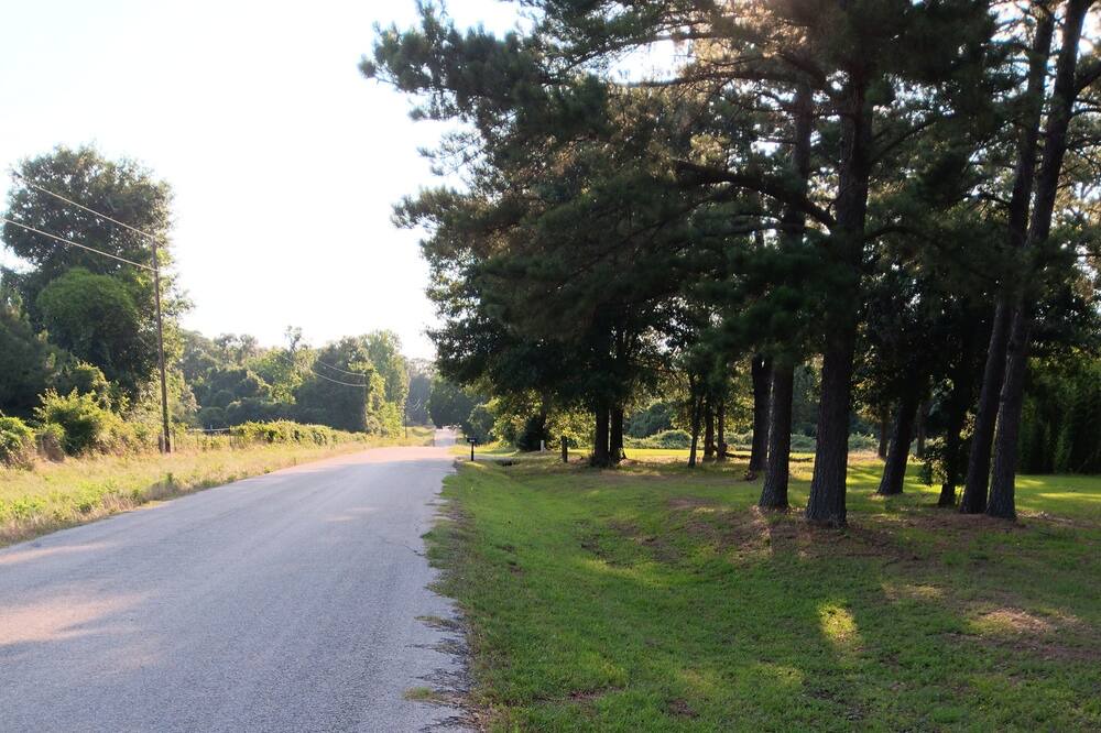 Photo of Others in Hempstead
