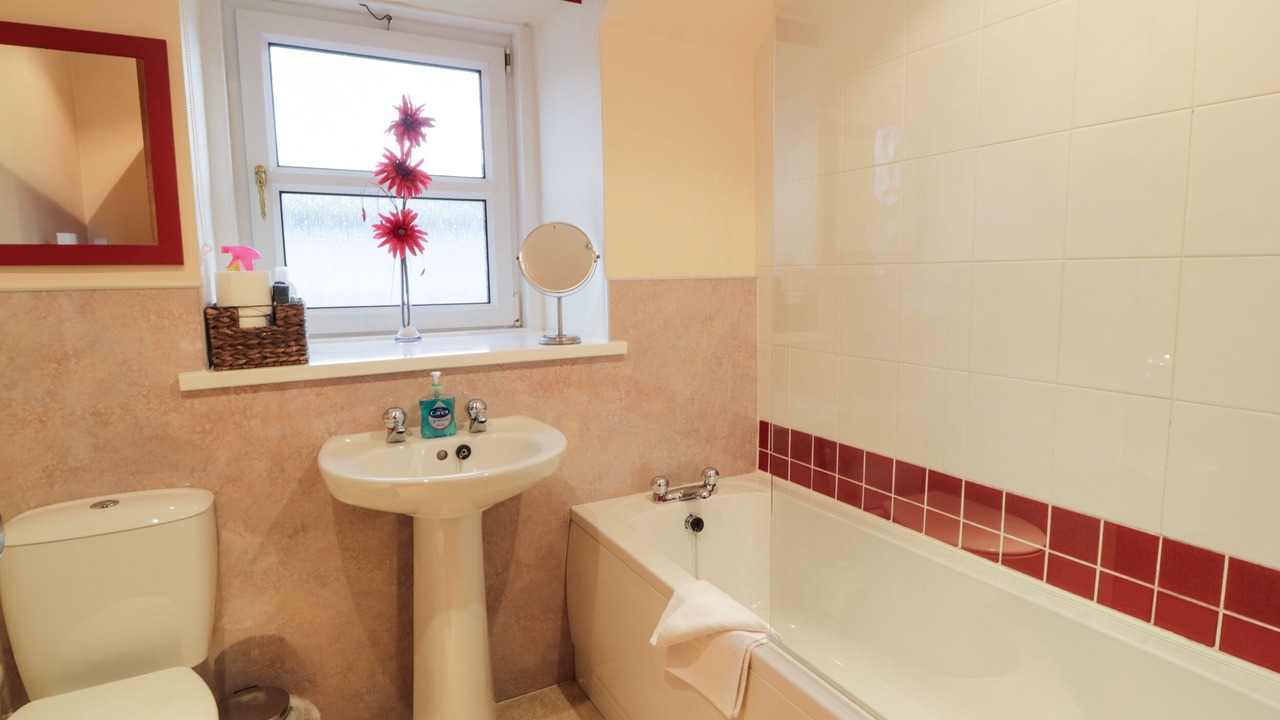 Photo of Others in Newton Stewart