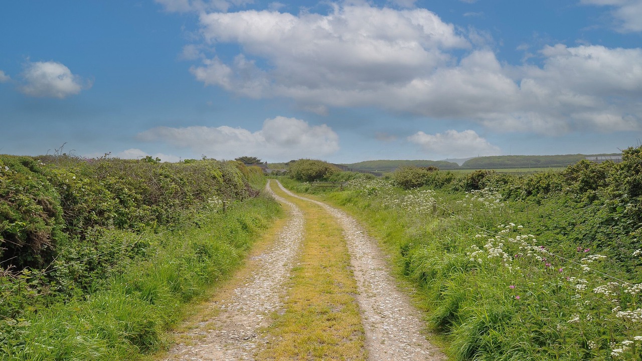 Photo of Others in Camborne