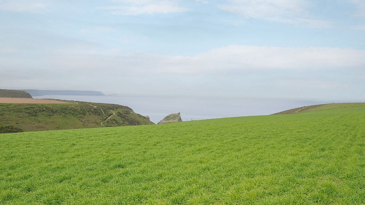 Photo of Others in Camborne