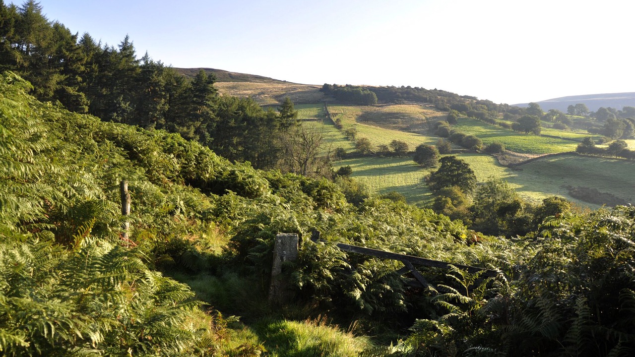 Photo of Others in Chop Gate