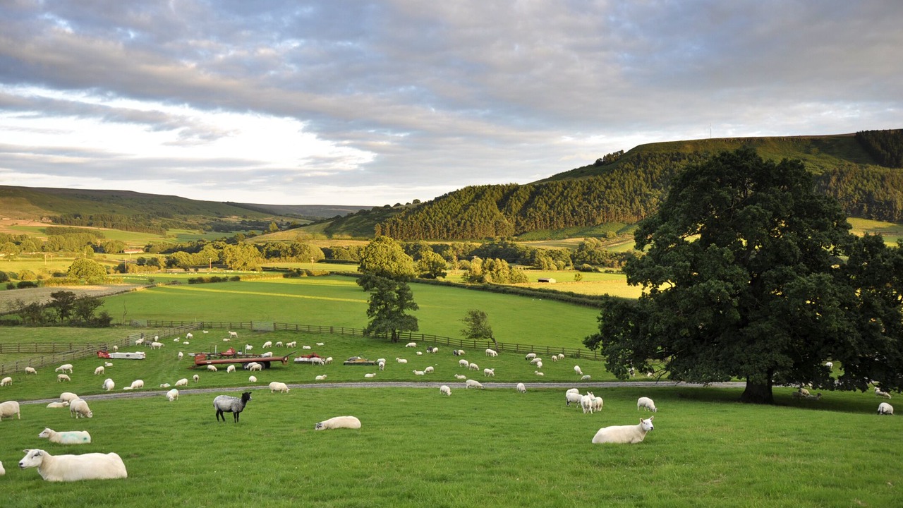 Photo of Others in Chop Gate