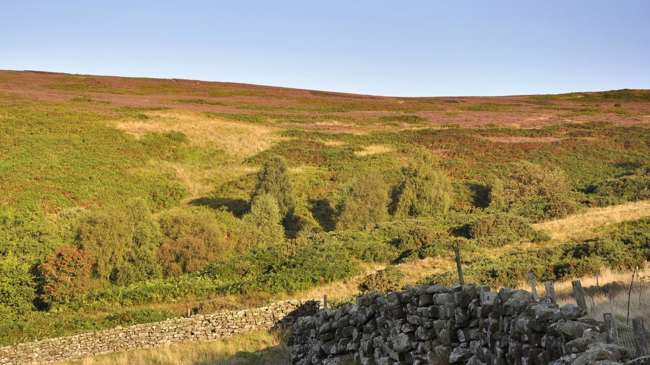 Photo of Others in Chop Gate