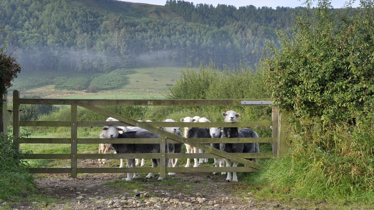 Photo of Others in Chop Gate